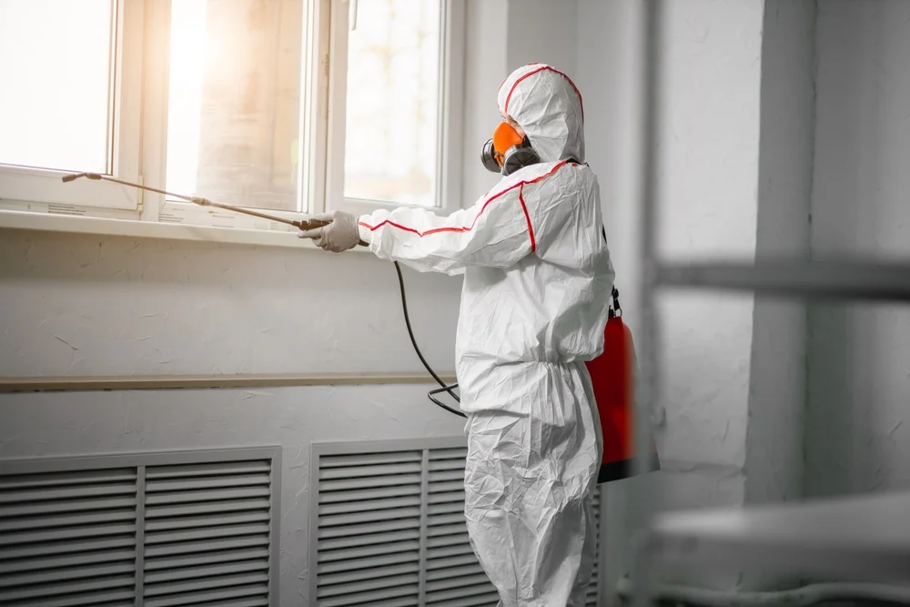 Professional mold remediation services in Kingston, PA